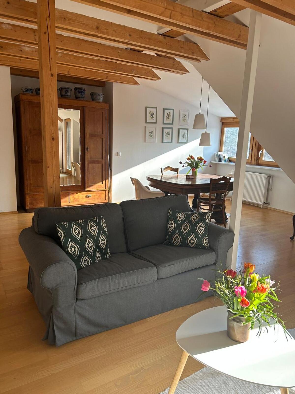 Grosse Wohnung Mit Dachterrasse In Starnberg Exterior foto